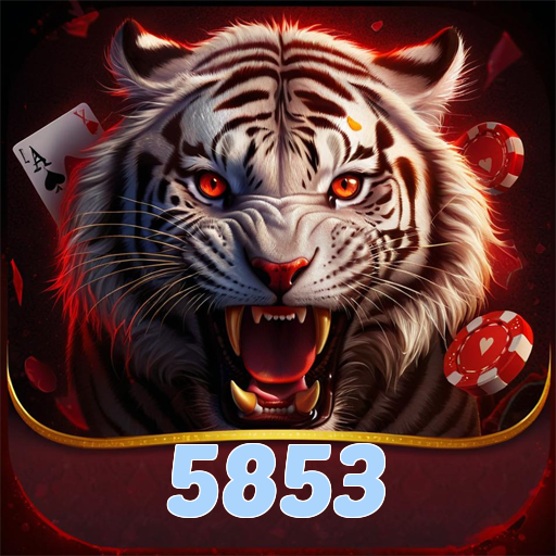 5853.com